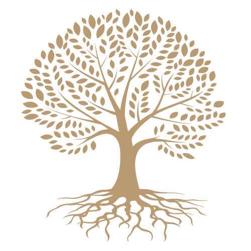 Biografía personalizada para preservar una historia de vida