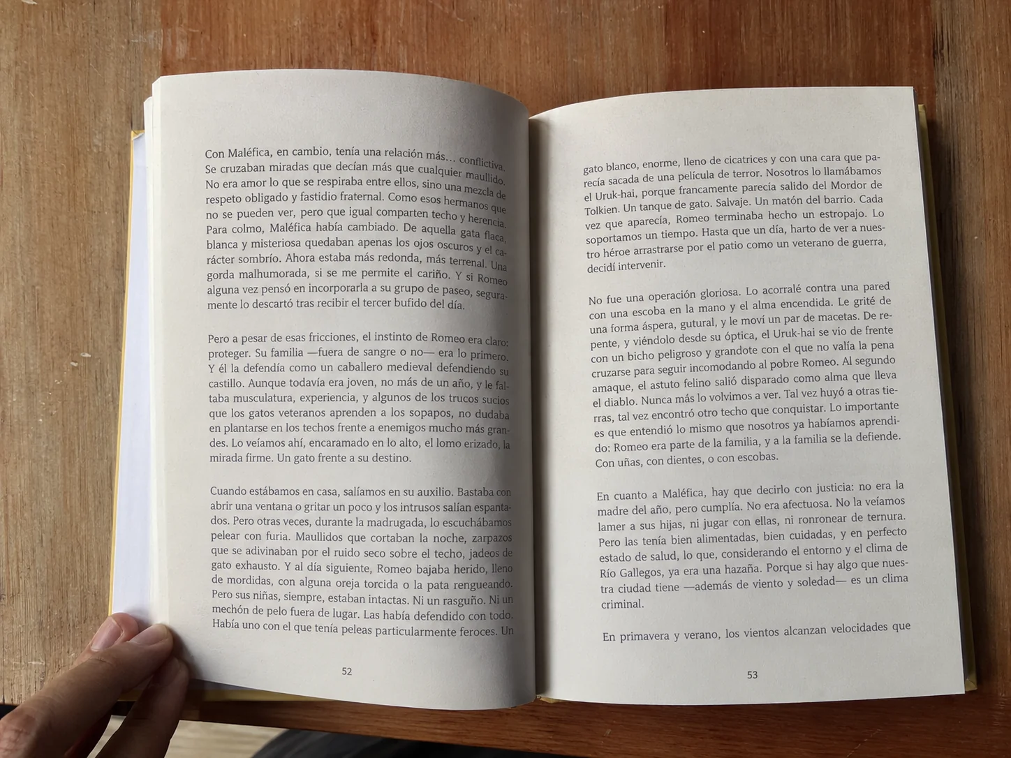 Páginas interiores del libro de los Berretogatos